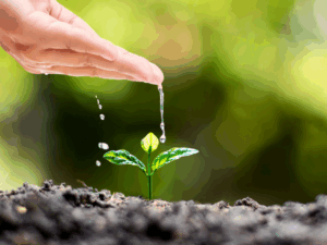 Professional Development: A Catalyst for Business Growth